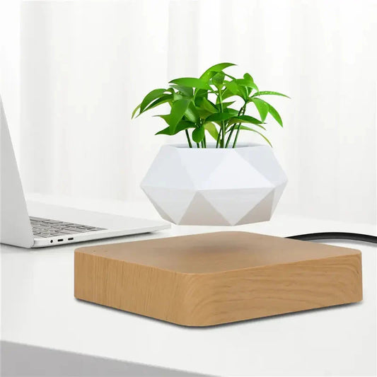 LeviFlora – Zwevende Pot met Geometrische Luxe